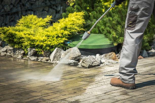Reliable Massanetta Springs, VA Pressure Washing Services Solutions