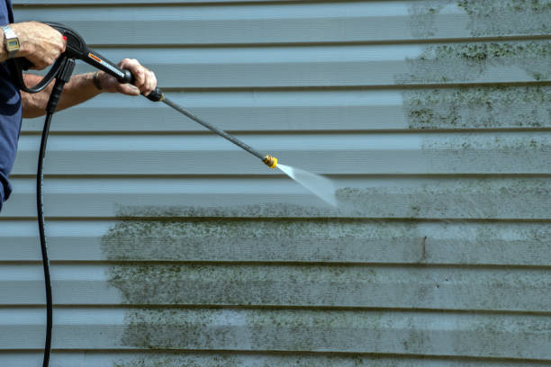 Best Solar Panel Cleaning  in Massanetta Springs, VA