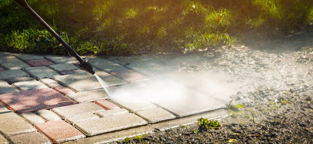 Best Animal Enclosure Cleaning  in Massanetta Springs, VA